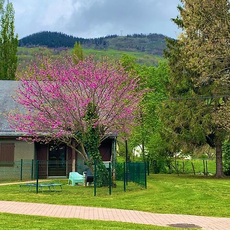 La Suite Unique - Le Jardin Sur Les Pyrenees- Vue Panoramique Montagne -Jardin Cloture Prive De 100M2-Parking-Linge De Lit Et Serviettes Compris- Bielle Exteriér fotografie