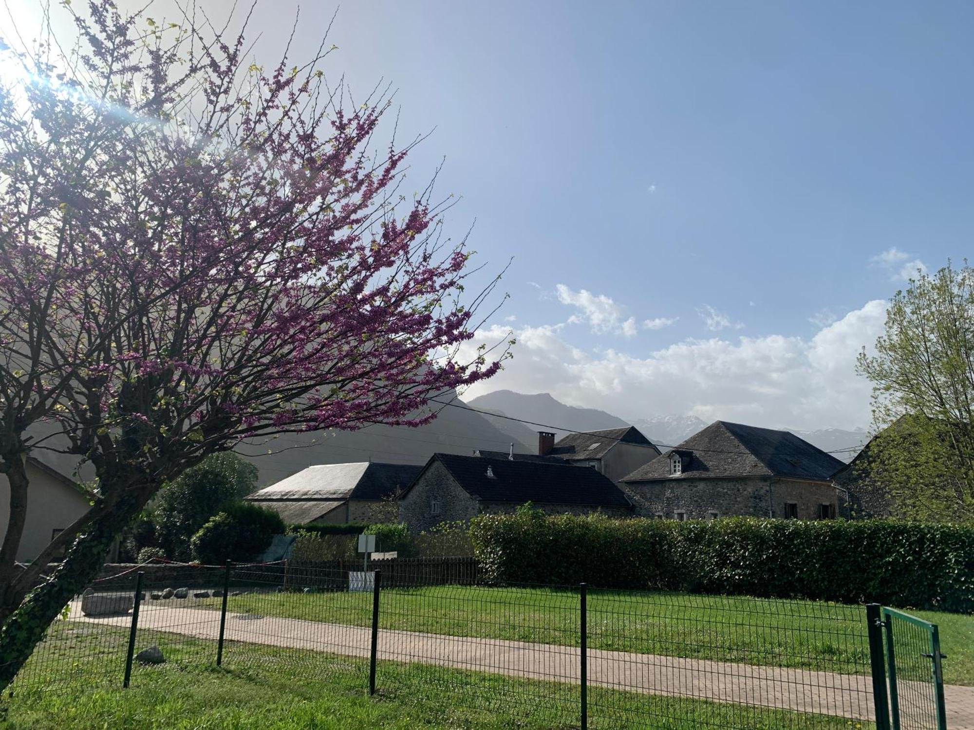 La Suite Unique - Le Jardin Sur Les Pyrenees- Vue Panoramique Montagne -Jardin Cloture Prive De 100M2-Parking-Linge De Lit Et Serviettes Compris- Bielle Exteriér fotografie