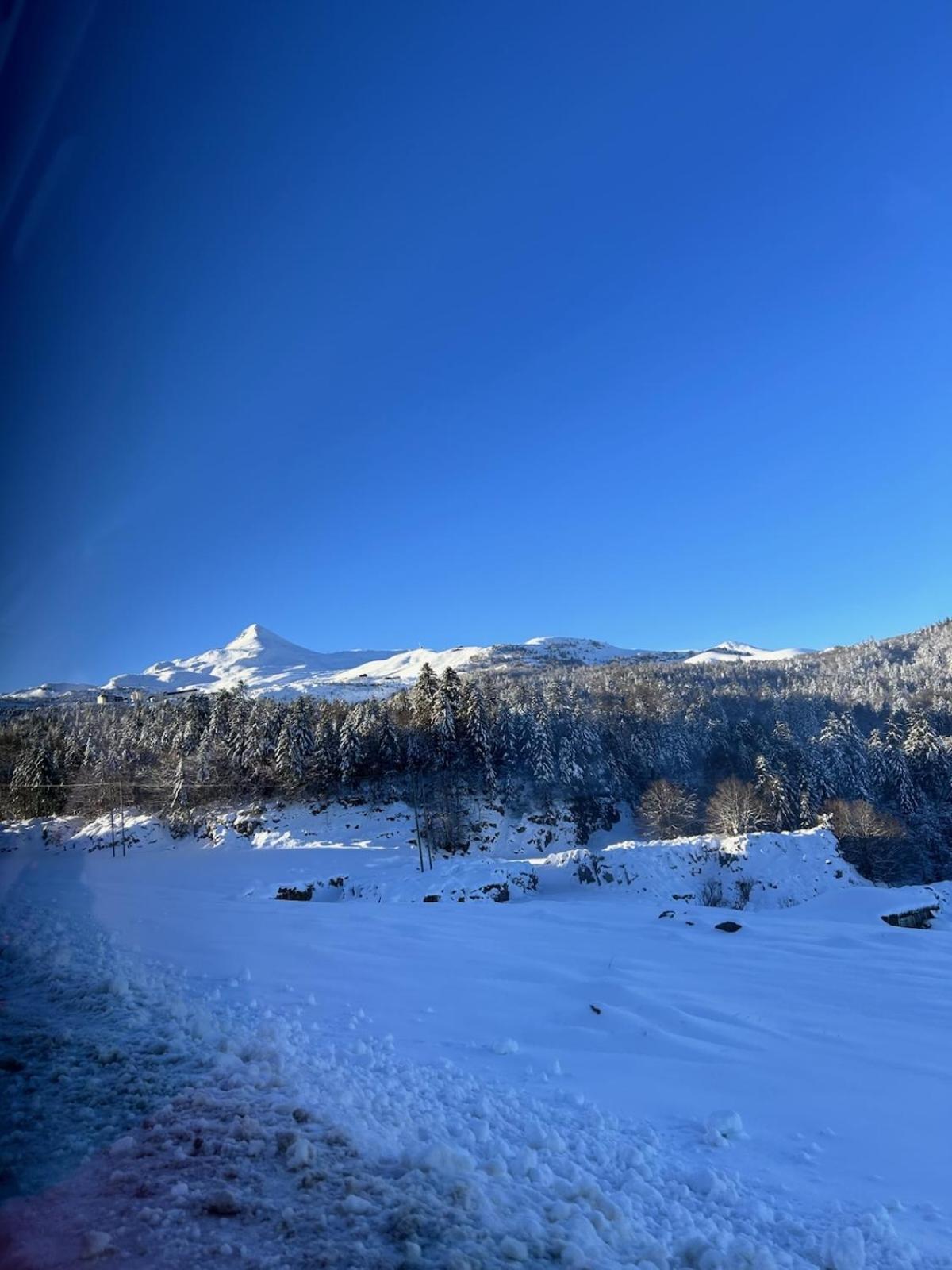 La Suite Unique - Le Jardin Sur Les Pyrenees- Vue Panoramique Montagne -Jardin Cloture Prive De 100M2-Parking-Linge De Lit Et Serviettes Compris- Bielle Exteriér fotografie