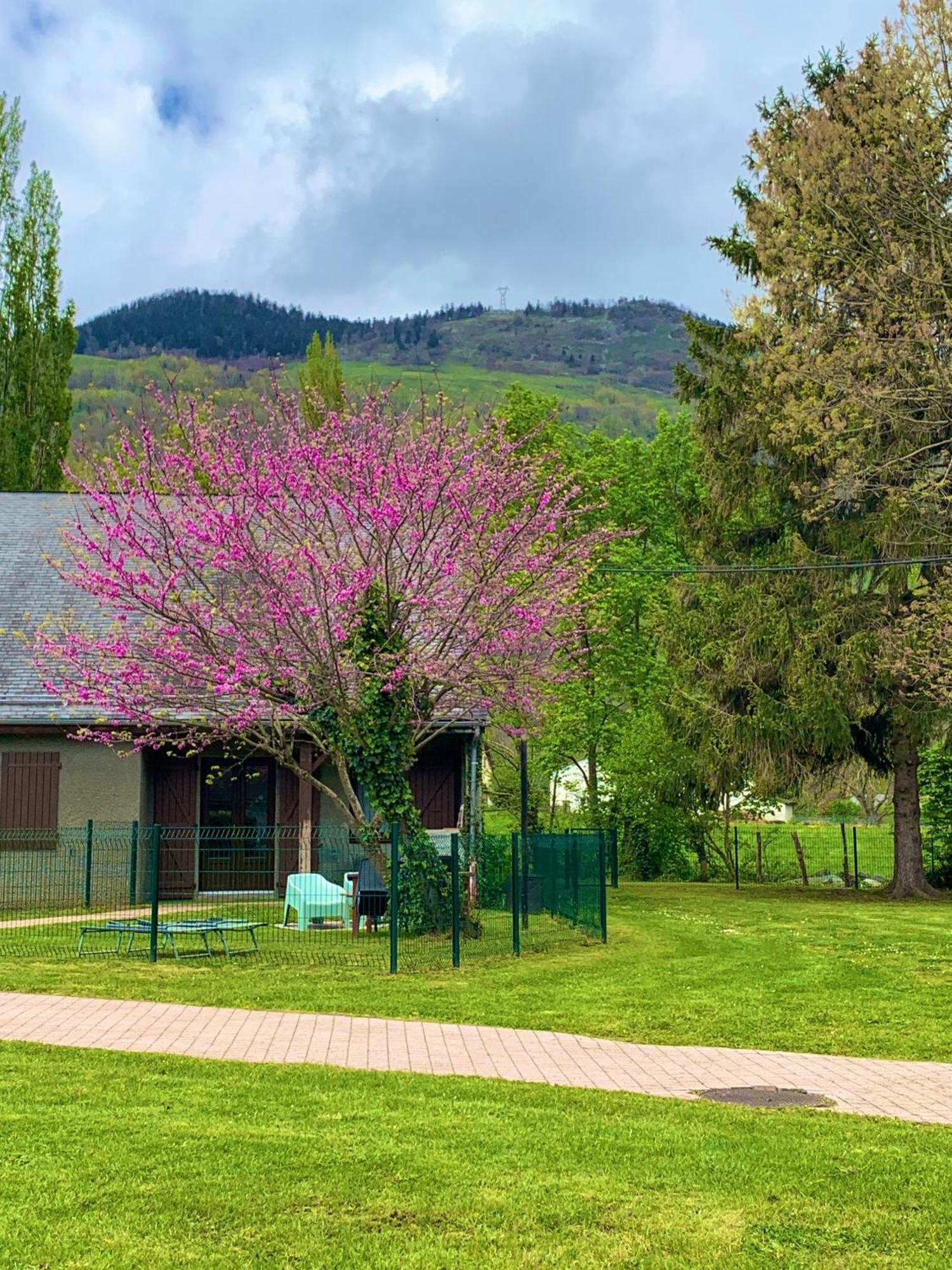 La Suite Unique - Le Jardin Sur Les Pyrenees- Vue Panoramique Montagne -Jardin Cloture Prive De 100M2-Parking-Linge De Lit Et Serviettes Compris- Bielle Exteriér fotografie